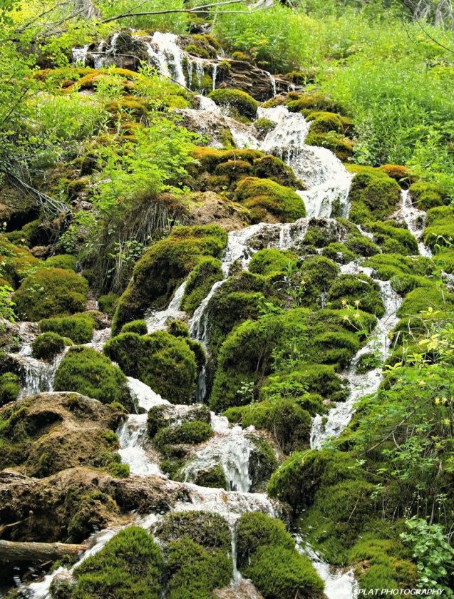 Mossy Waterfalls